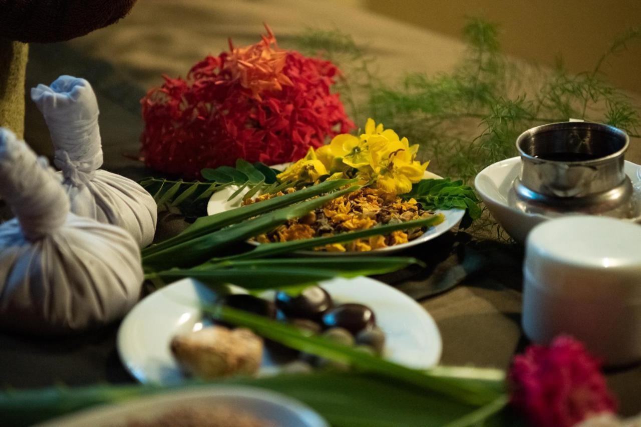Nature Lanka Ayurveda Resort - All Meals And Ayurveda Treatments With Yoga Тангалла Экстерьер фото