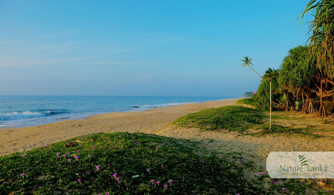 Nature Lanka Ayurveda Resort - All Meals And Ayurveda Treatments With Yoga Тангалла Экстерьер фото