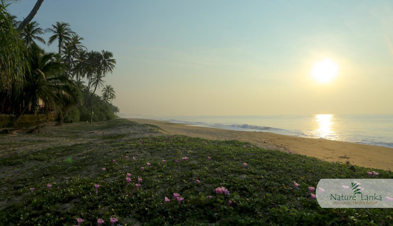 Nature Lanka Ayurveda Resort - All Meals And Ayurveda Treatments With Yoga Тангалла Экстерьер фото